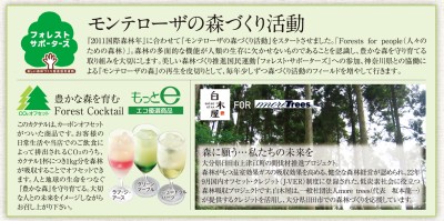 株式会社モンテローザ「森づくり活動」がスタート！～　森を育む Forest Cocktail（カーボン・オフセッ ...