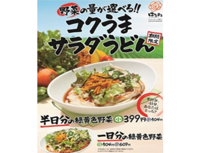 はなまるうどんから“野菜の量が選べる”コクうまサラダうどん、4月23日より販売開始